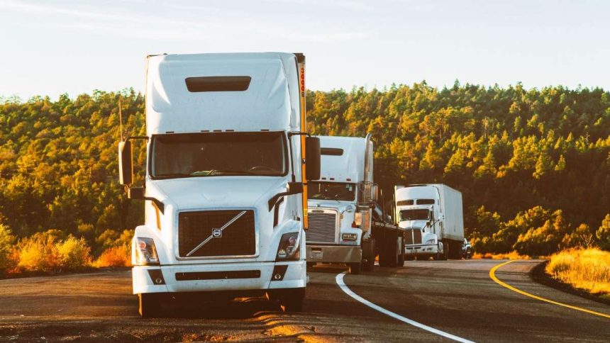 Platinum Express, Inc. filed a bankruptcy petition
