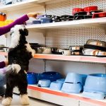 IKPM Pet Supply LLC filed a bankruptcy petition