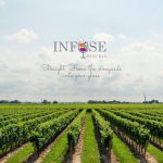 Infuse Wine To Bring the Pour to the Moncrief Lenoir campus