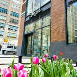 Wonder Food Hall is Coming to Spring
