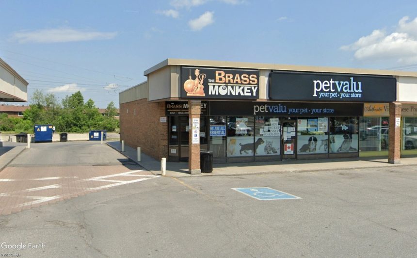 Experience Social Bringing Large-Scale Pinball and Arcade Venue to Ottawa