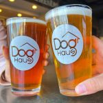 Dog Haus bringing First Ohio restaurant to high street near OSU.