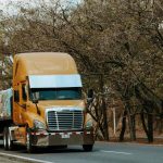 Commodity Transporters, Inc. filed a bankruptcy petition