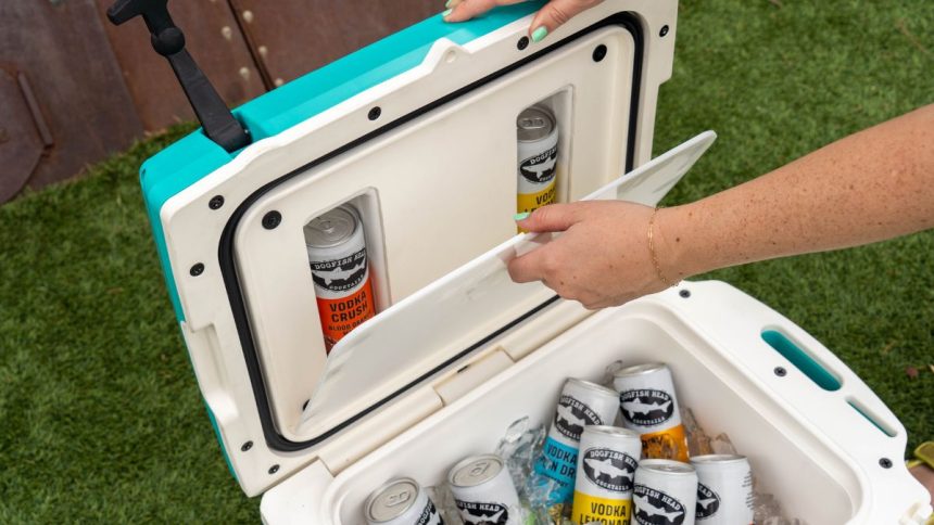 Dogfish Head is bringing a limited-edition cooler with a hidden compartment designed to keep favorite canned cocktails tucked away. 