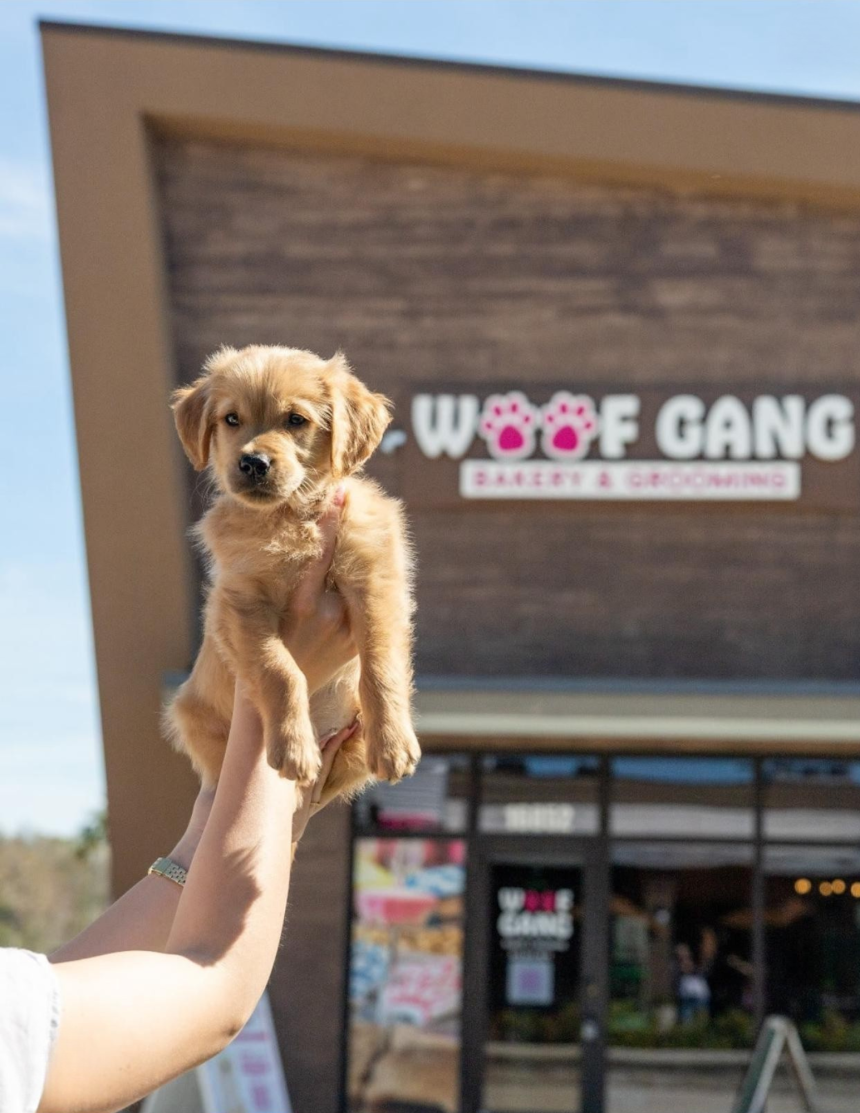 Woof Gang is Planned for The Colonnade on Lake Conroe