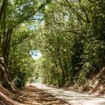 Atlanta Beltline to celebrate a significant milestone.