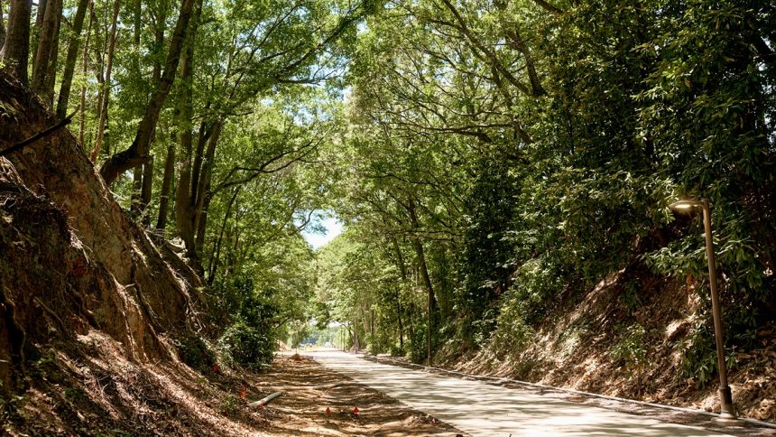Atlanta Beltline to celebrate a significant milestone.