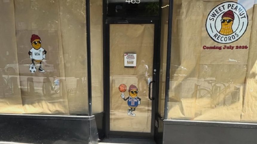 Sweet Peanut Records to Hit Play on Vinyl Culture on the Upper West Side