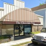 The Chocolate Tree