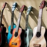 ​Armadillo Distribution Enterprises, Inc. filed a bankruptcy petition