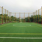 Sportscapers Construction Inc. files for bankruptcy