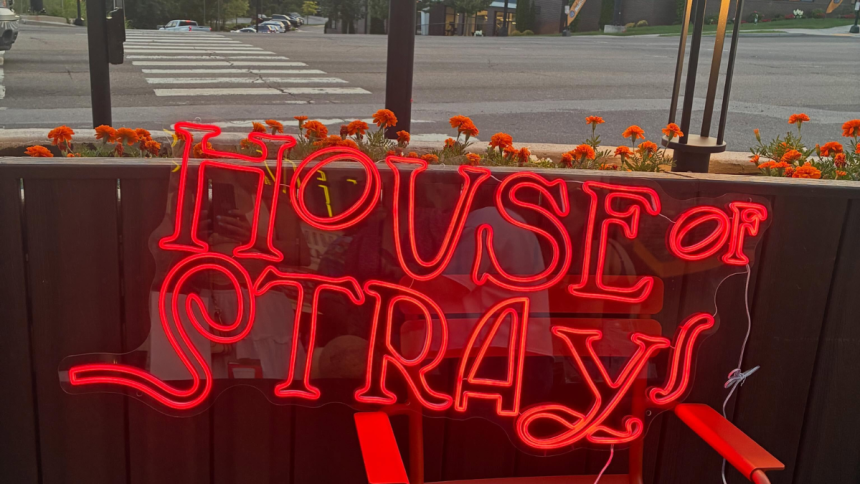 House of Strays Bringing Prohibition-Era Cocktails and Live Theater to Knoxville's Old City