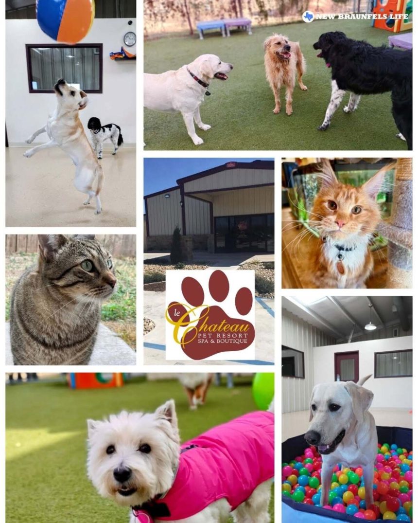 Le Chateau Pet Resort plans new Luxury boarding facility in New Braunfels.