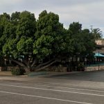 Lado A Lado to Bring Sonoran-Inspired Cooking to Uptown Phoenix