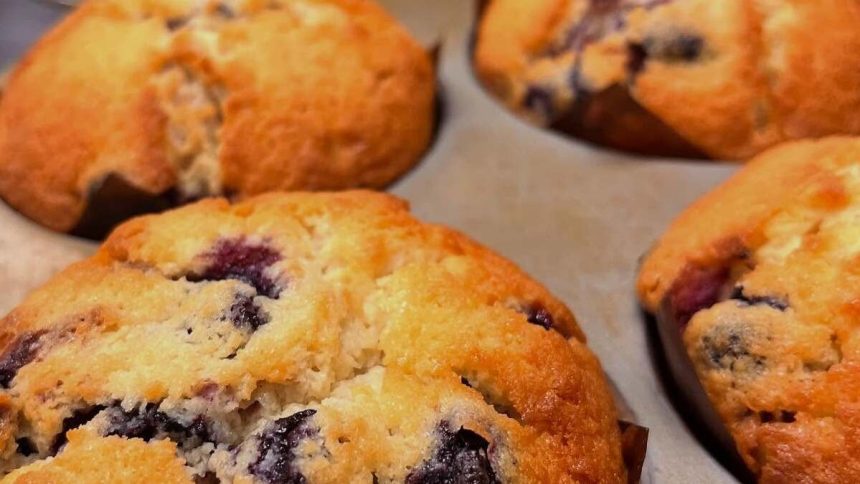 Blue Corn Cafe & Bakery Plans Orange County Expansion