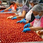 Fresh Venture Foods, LLC files for bankruptcy