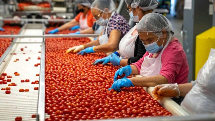 Fresh Venture Foods, LLC files for bankruptcy