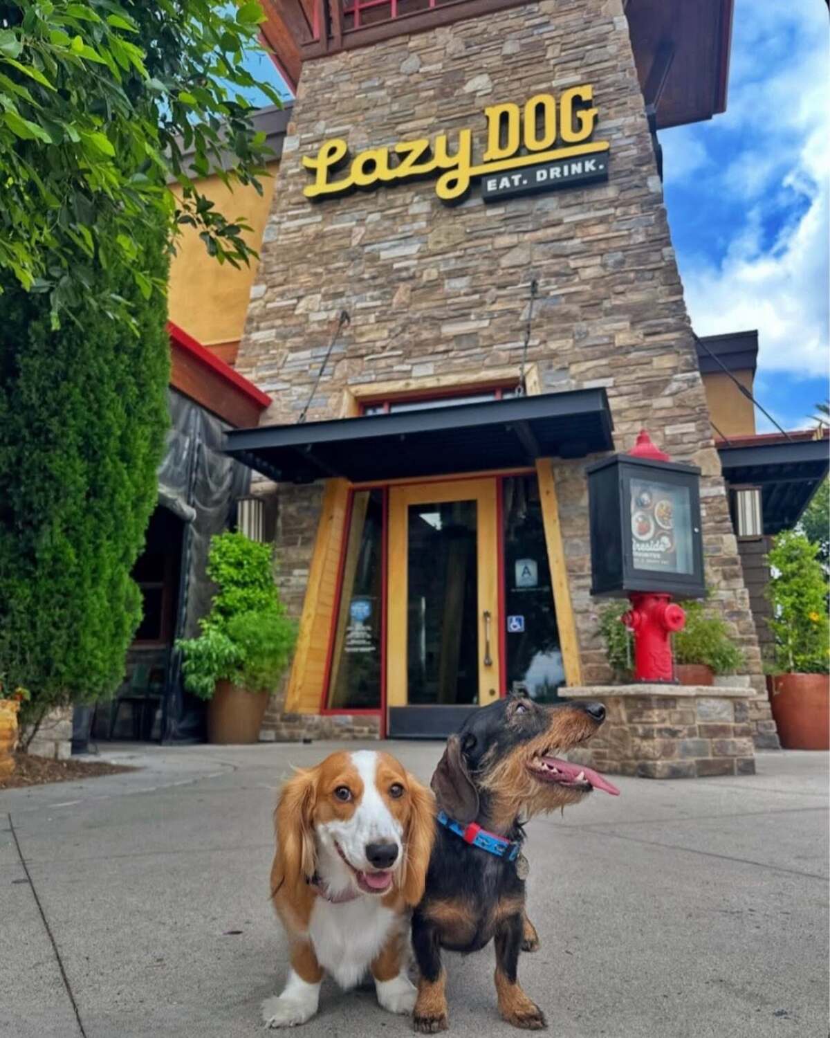 Lazy Dog Restaurant & Bar Still Coming to Castle Rock
