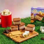 This image shows the newly launched S'mores Ice Cream Sandwich