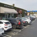 Purrs In Paradise To Open Cat Lounge In Costa Mesa