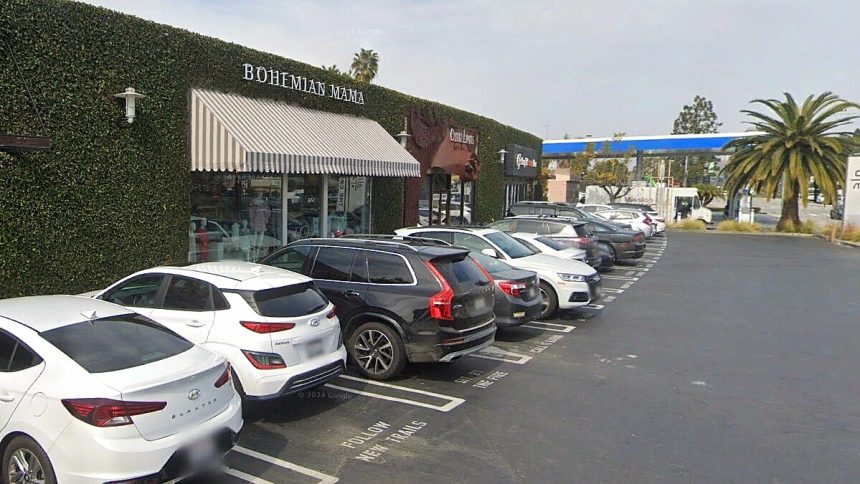Purrs In Paradise To Open Cat Lounge In Costa Mesa