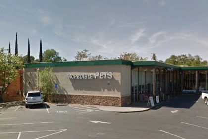 An Indoor Dog Park Is Coming to North Auburn