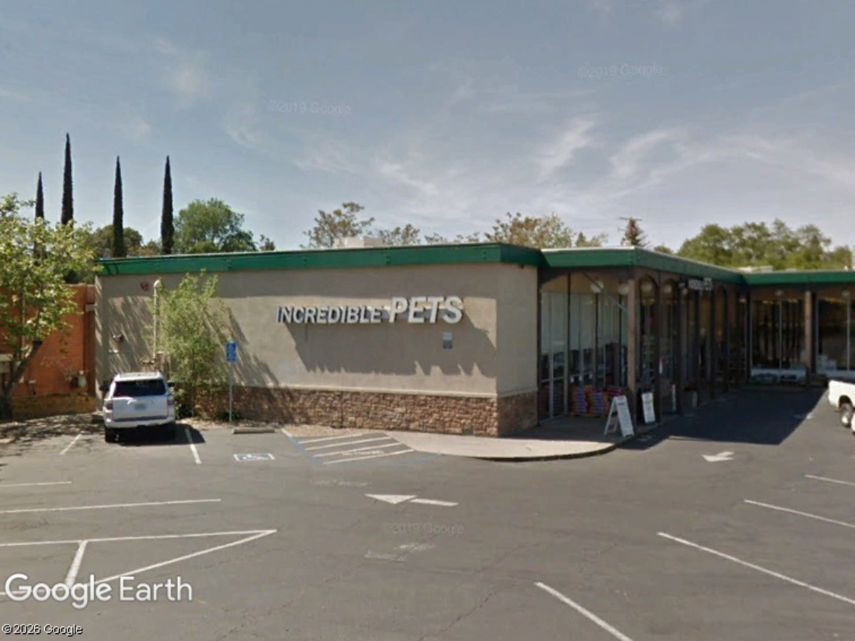 An Indoor Dog Park Is Coming to North Auburn